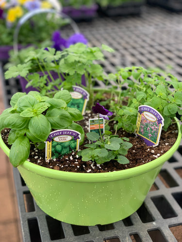 Spring Herb Container Class on Saturday April 26th @ 10am ($10 DEPOSIT REQUIRED FOR RSVP)