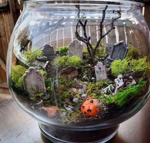 Halloween Spooky Terrarium Make & Take Class!