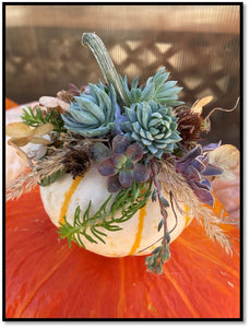 Succulent Pumpkin DIY Class Saturday, October 4th @10am